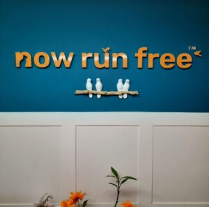 Now Run Free